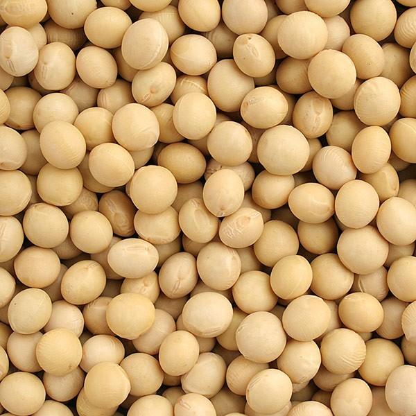 Plant-Based Feed Ingredients